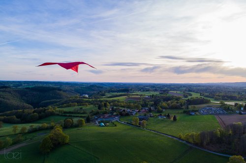 Cerf Volant