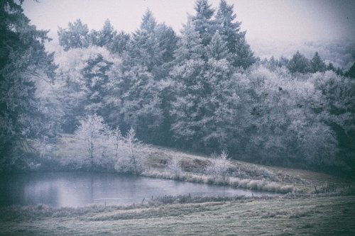 Etang Givré