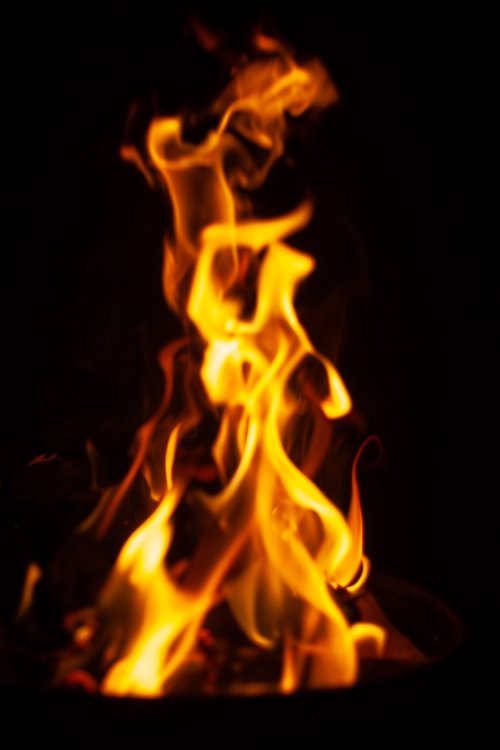Feu